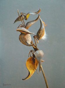 Thomas S. Buechner "Milkweed Pods" 14x10 oil $2,570. framed
