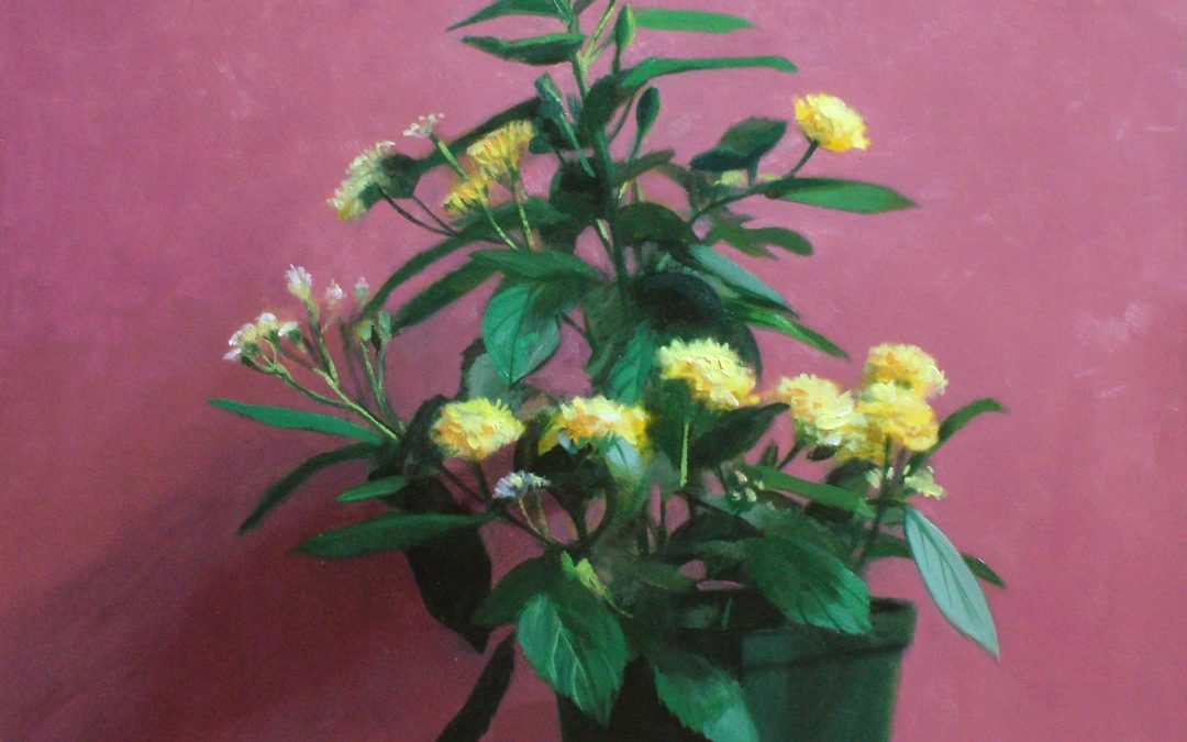 BuechnerLantana