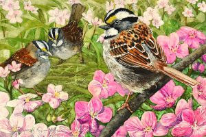 Jennifer Fais "Hope: White-throated Sparrows and Spring Beauties" 8x12 watercolor/acrylic $370.