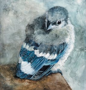 Jennifer Fais "Spring Wedding: Baby Blue Jay" 9x9 watercolor/acrylic $390.