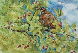 Jennifer Fais "Spring Wedding: Young Robin in Serviceberry" 9x13 watercolor/acrylic $420.