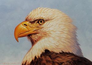 Jennifer Miller "Bald Eagle" oil painting Inquire
