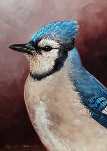 Jennifer Miller "Blue Jay" oil painting Inquire