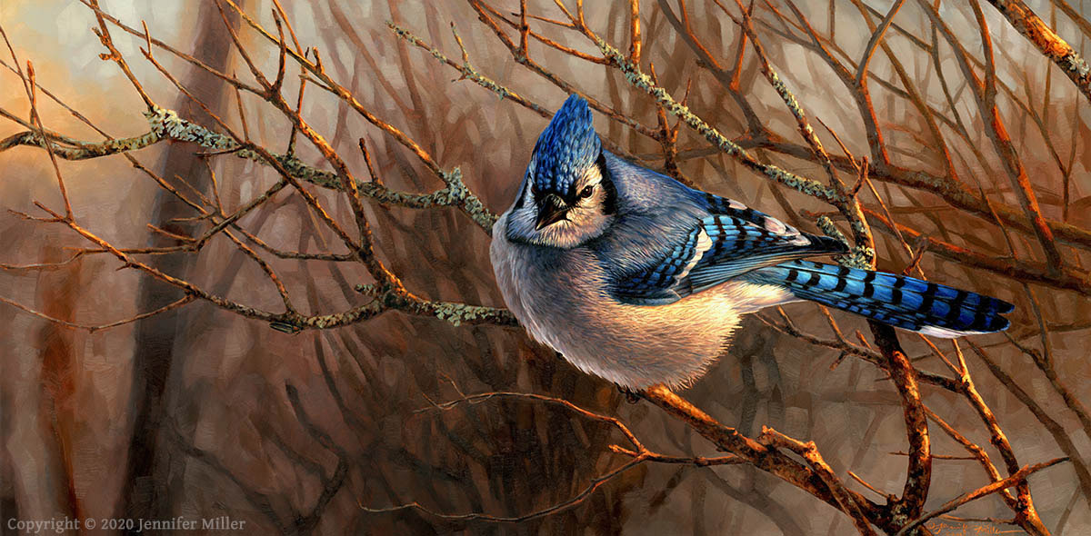 Jennifer Miller "Fading Light" (Blue Jay) 12x24 oil $3,200.