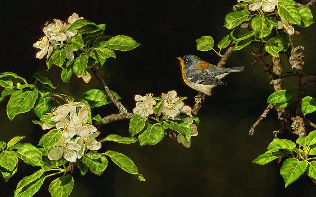 Jennifer Miller "Spring Beacons" (Northern Parula Warbler) 12x16 oil $2,400.